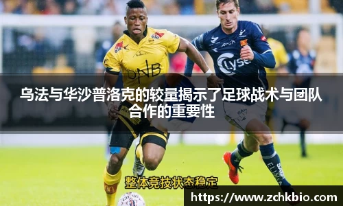 lewin乐玩官网